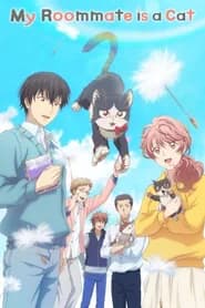 Doukyonin wa Hiza, Tokidoki, Atama no Ue