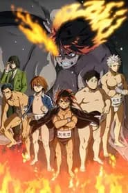 Hinomaruzumou